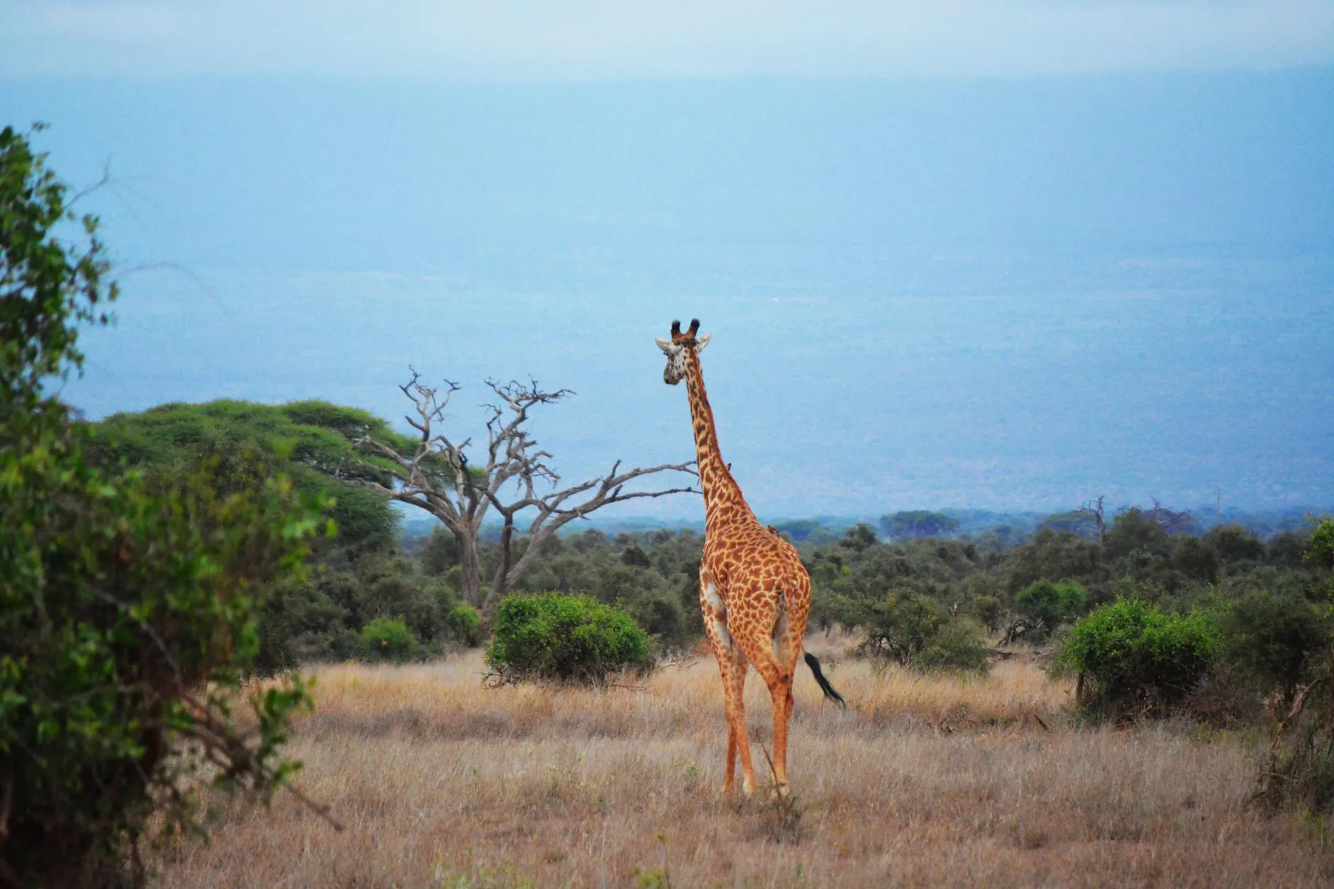 Nairobi, Kenya landmark in Nairobi, Kenya