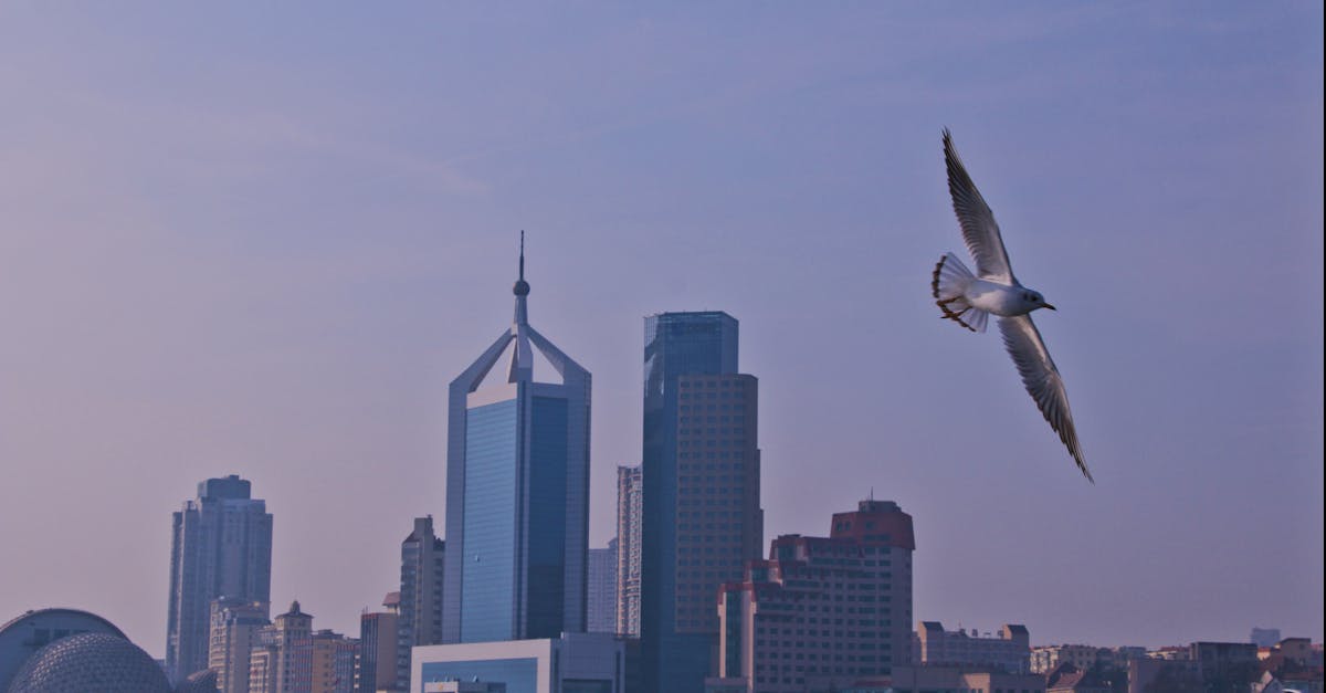 city skyline landmark in Qingdao, China