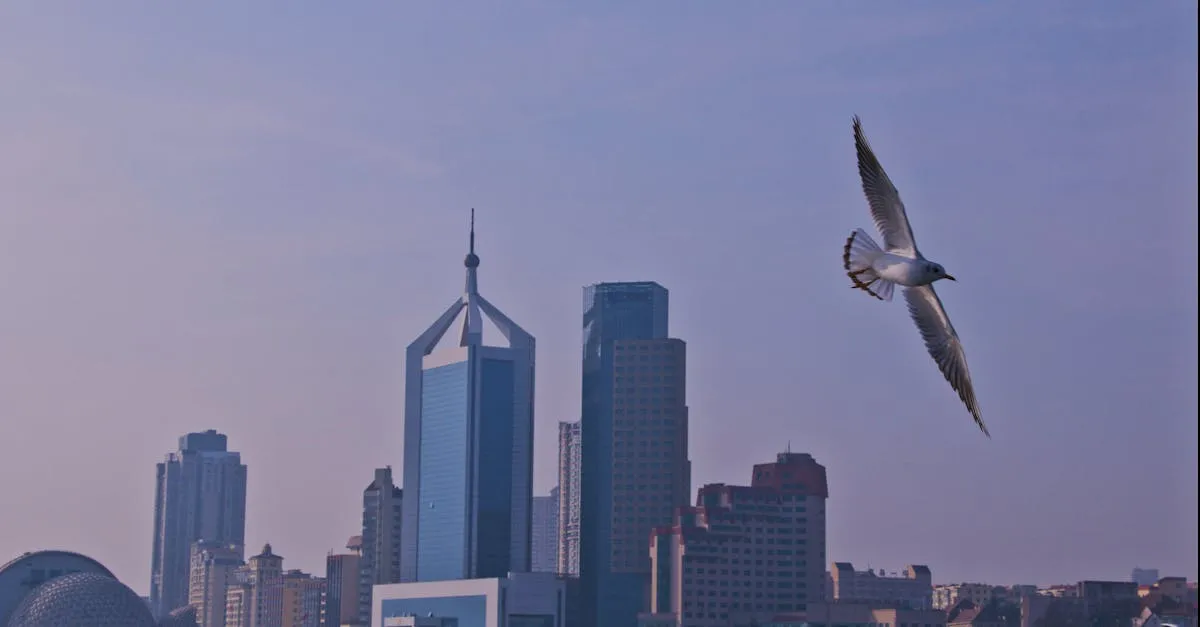 city skyline landmark in Qingdao, China