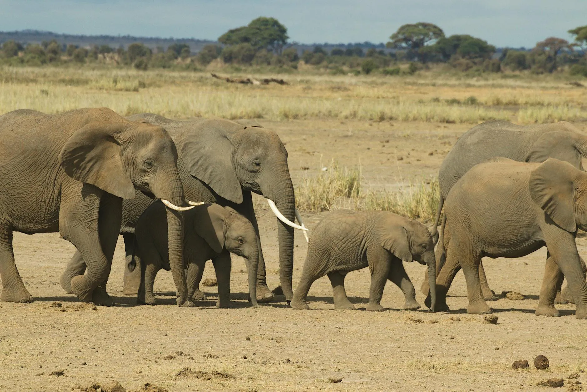 KENYA landmark in KENYA