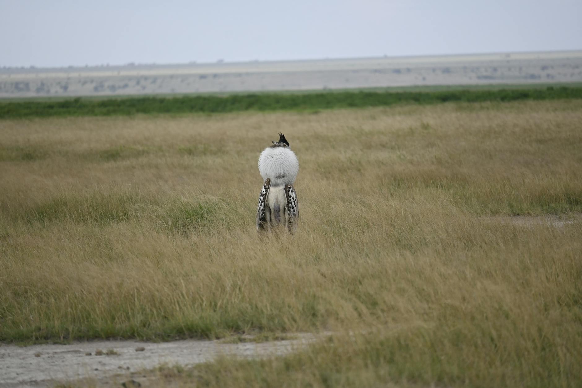 Nairobi, Kenya landmark in Nairobi, Kenya