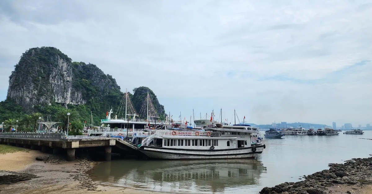 Ha Long Bay, Vietnam — tour boats moored below a forested limestone karst, the classic overnight trip from Hanoi
