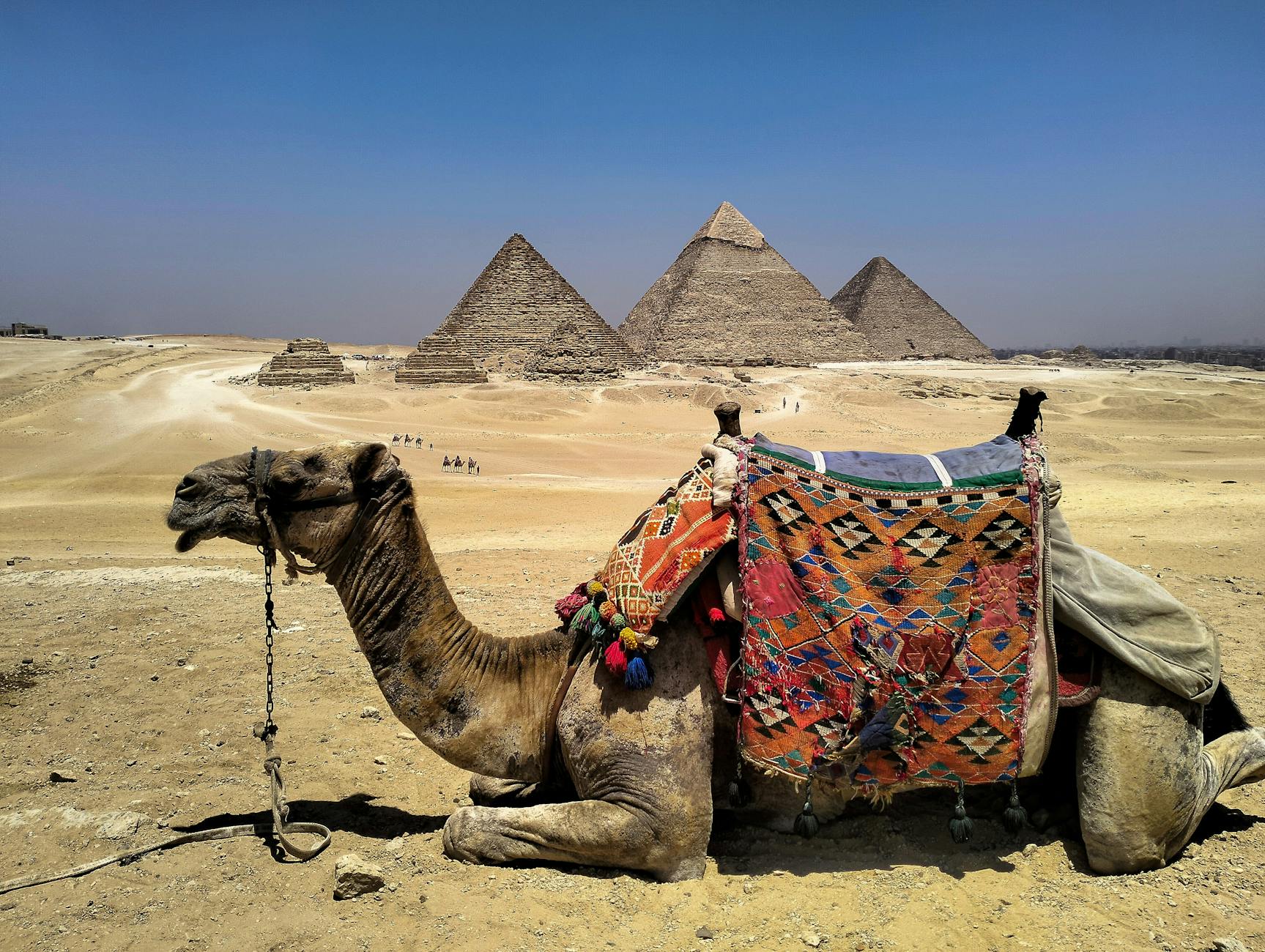 Cairo, Egypt landmark in Cairo, Egypt