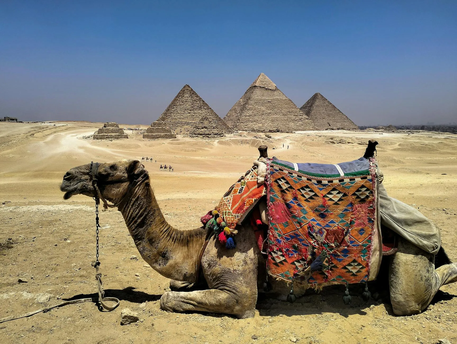 Cairo, Egypt landmark in Cairo, Egypt