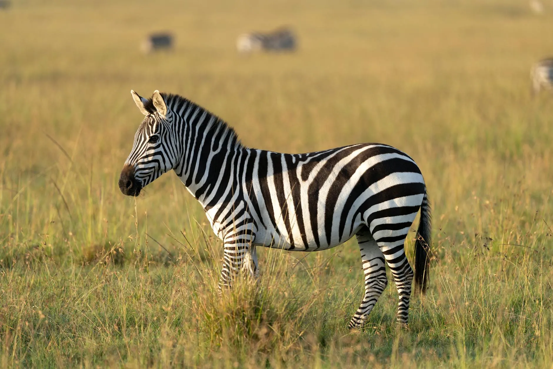 Nairobi, Kenya landmark in Nairobi, Kenya