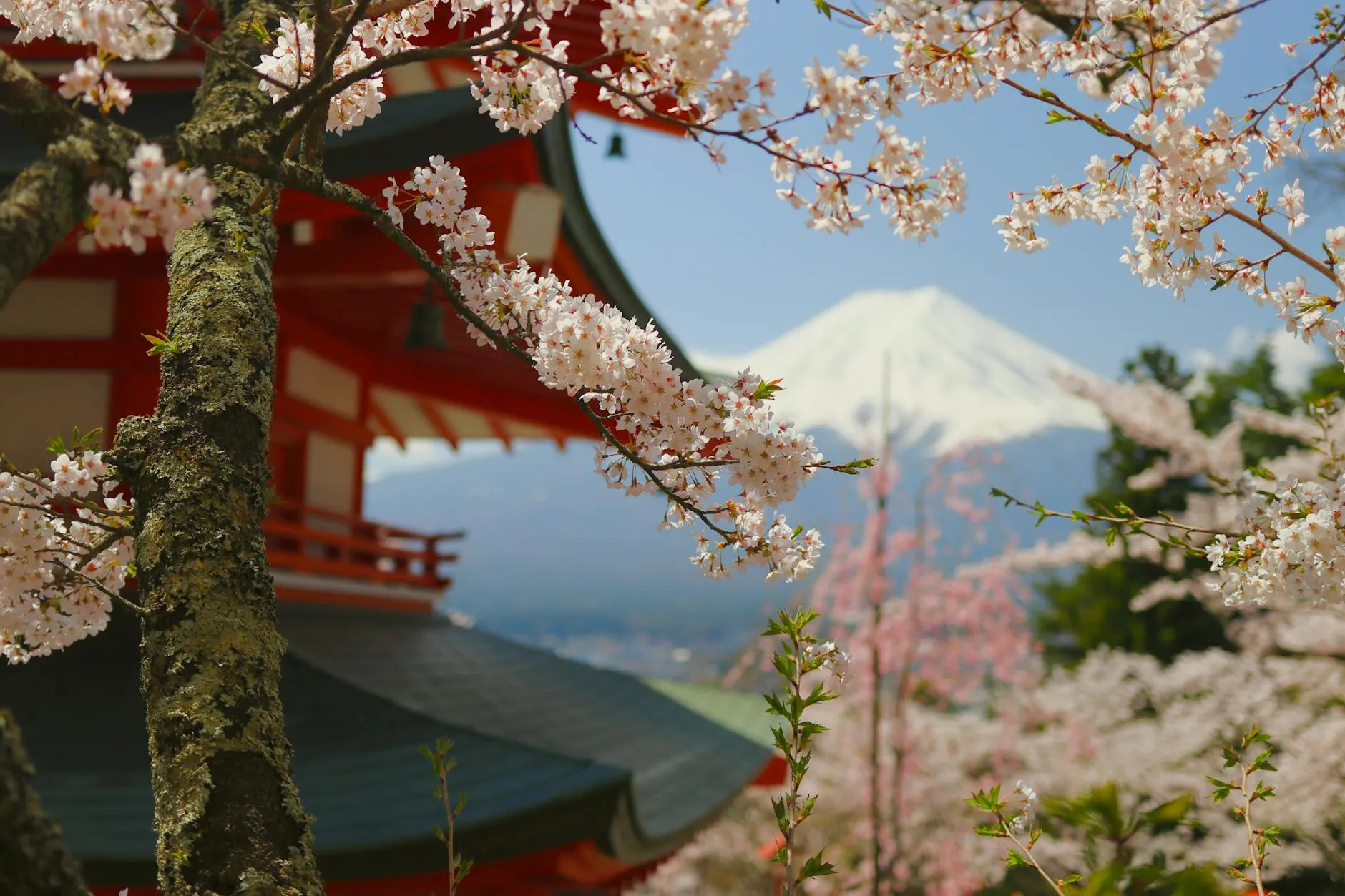 Japan landmark in Japan