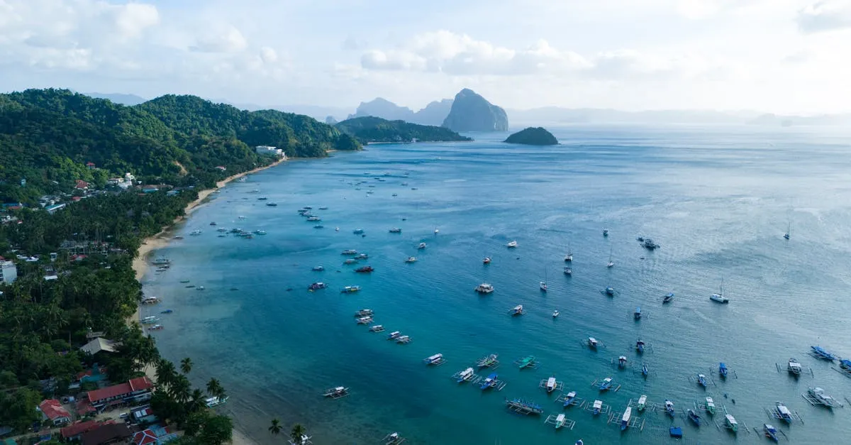 Palawan, the Philippines — a palm-fringed bay of turquoise water and outrigger boats below forested karst headlands, the island trip most travellers connect on to from Manila