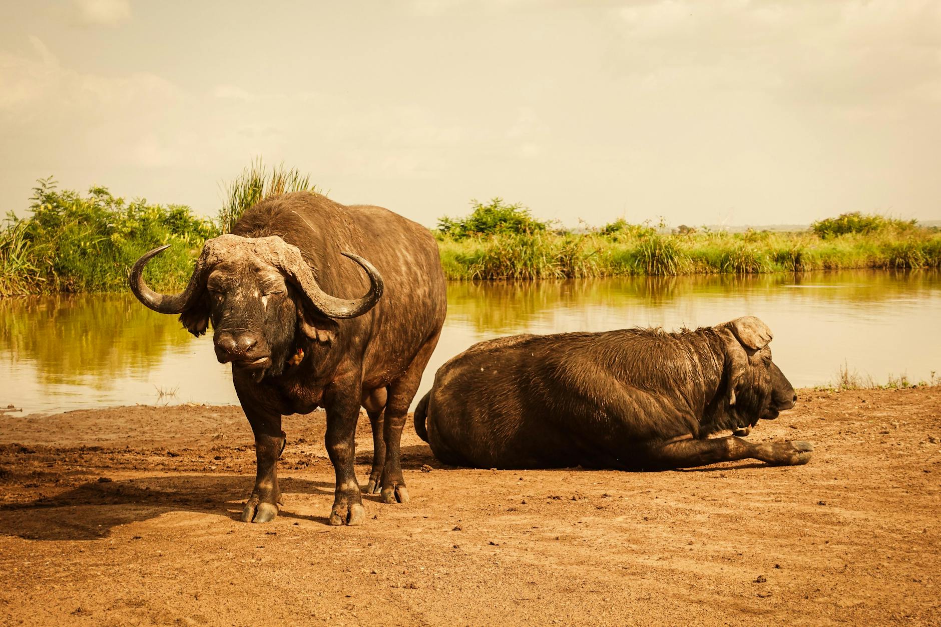 Nairobi, Kenya landmark in Nairobi, Kenya