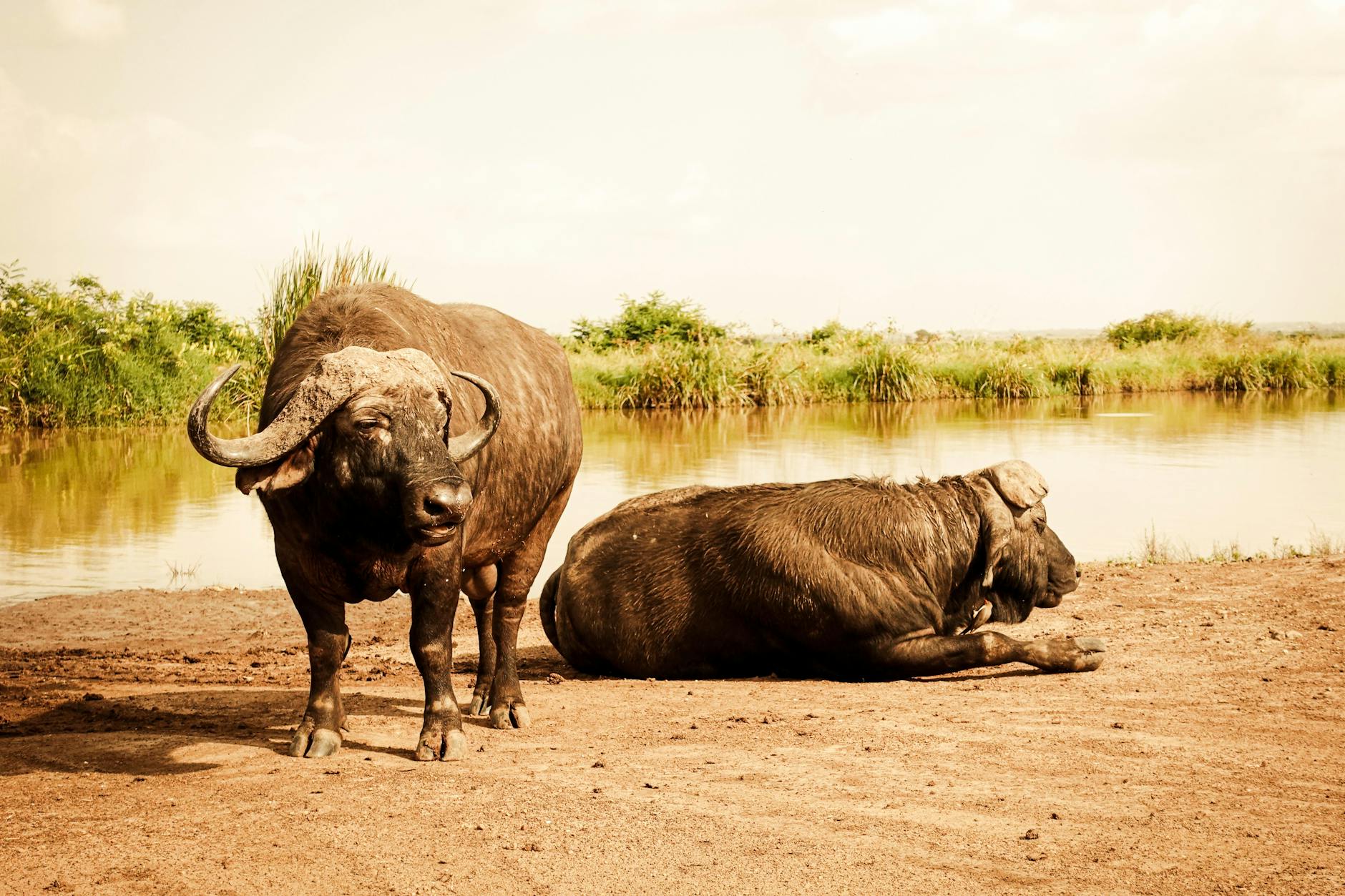 Nairobi, Kenya landmark in Nairobi, Kenya