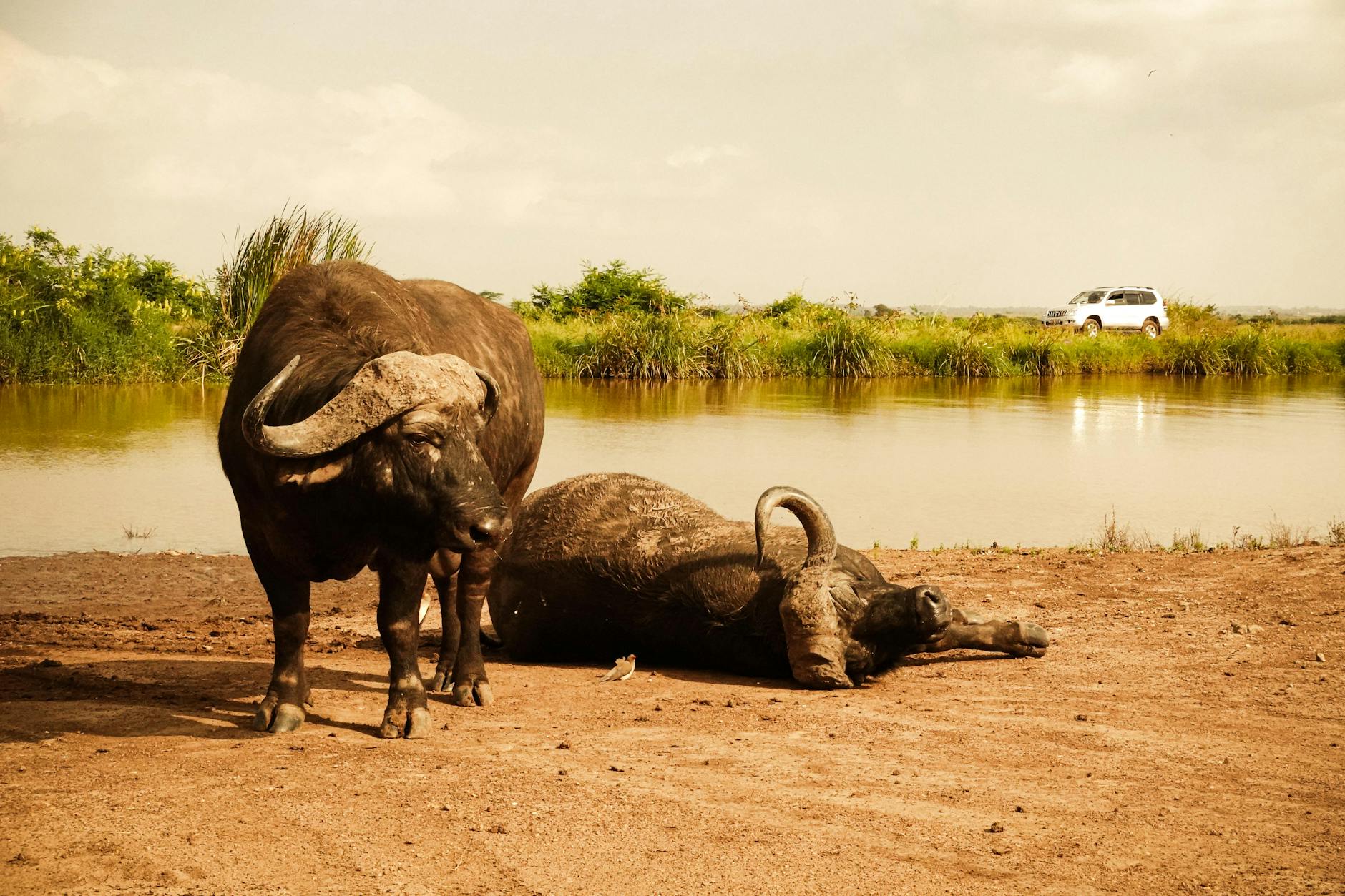 Nairobi, Kenya landmark in Nairobi, Kenya