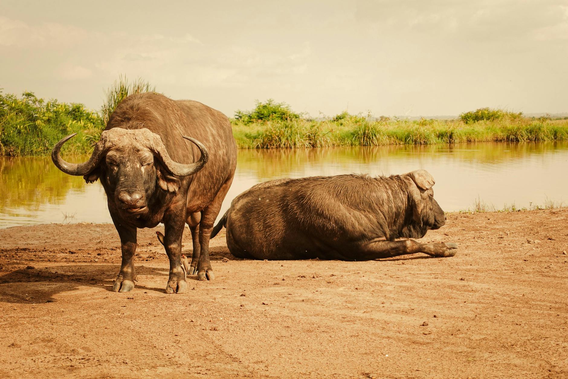 Nairobi, Kenya landmark in Nairobi, Kenya