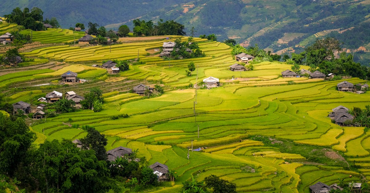 city skyline landmark in Vietnam