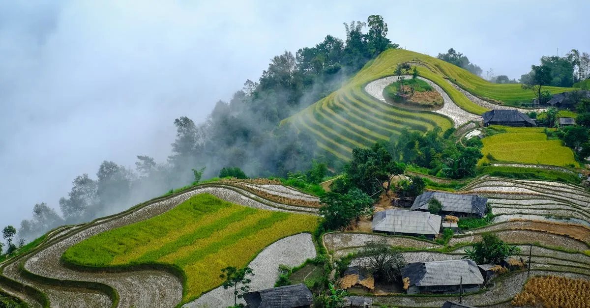 Northern Vietnam — mist drifting over terraced rice fields and hillside village houses in the highlands north of Hanoi