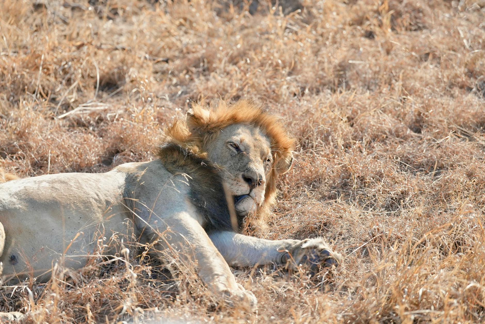 Johannesburg, South Africa landmark in Johannesburg, South Africa