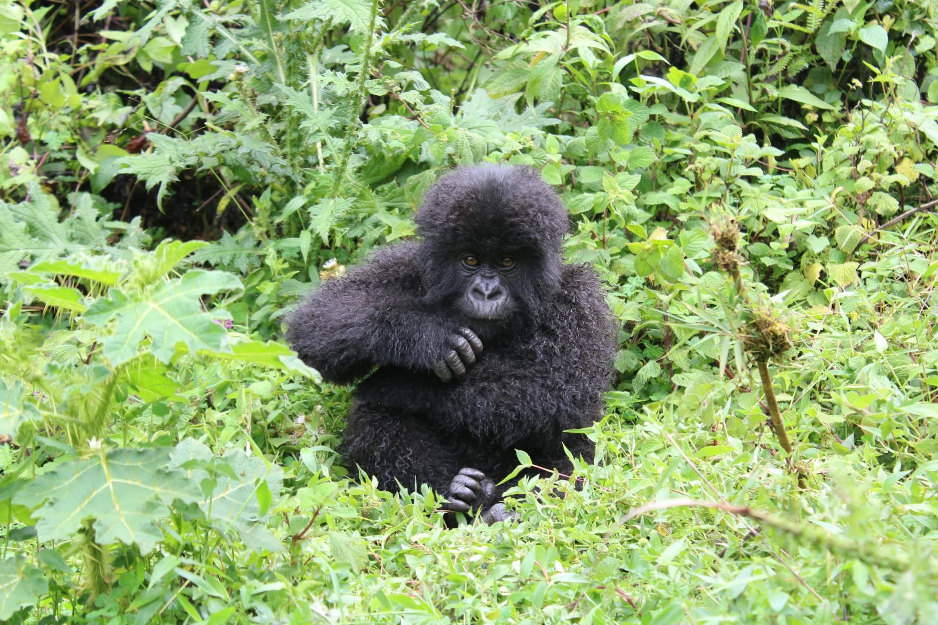 Rwanda landmark in Rwanda