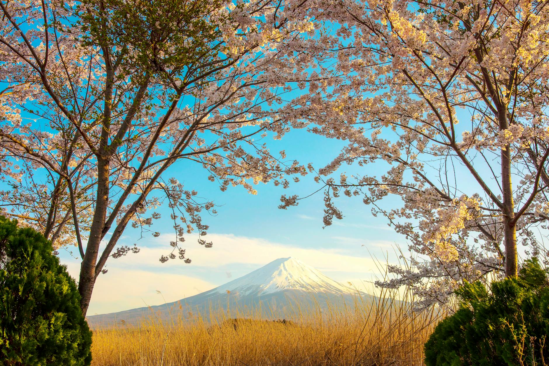 Osaka, Japan landmark in Osaka, Japan
