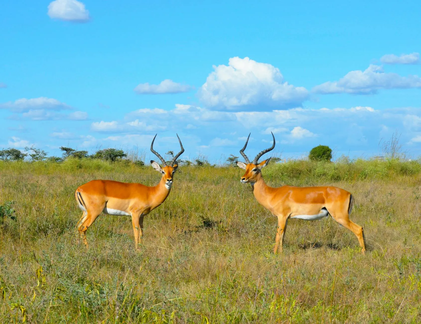 Nairobi, Kenya landmark in Nairobi, Kenya