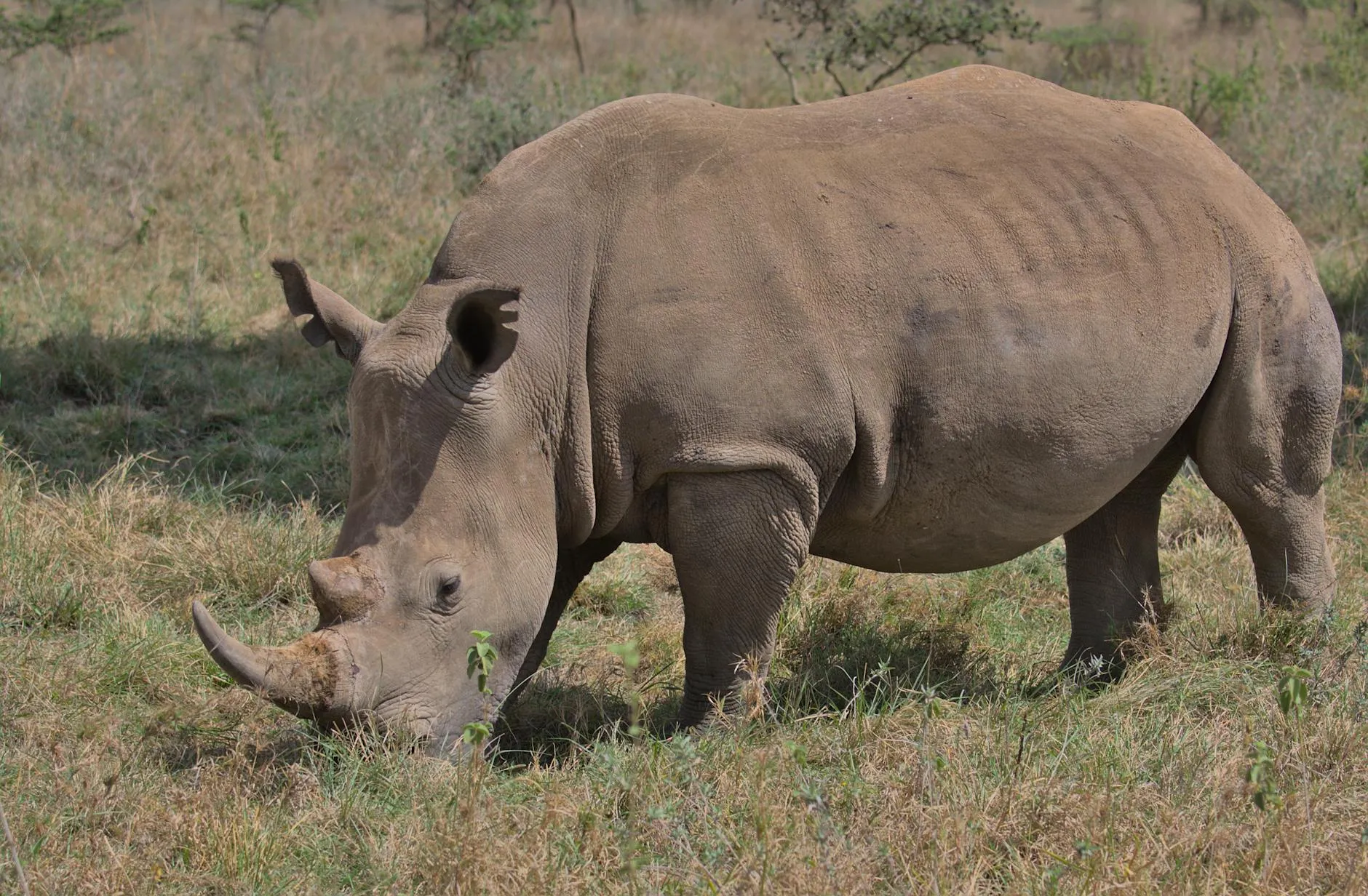 Nairobi, Kenya landmark in Nairobi, Kenya