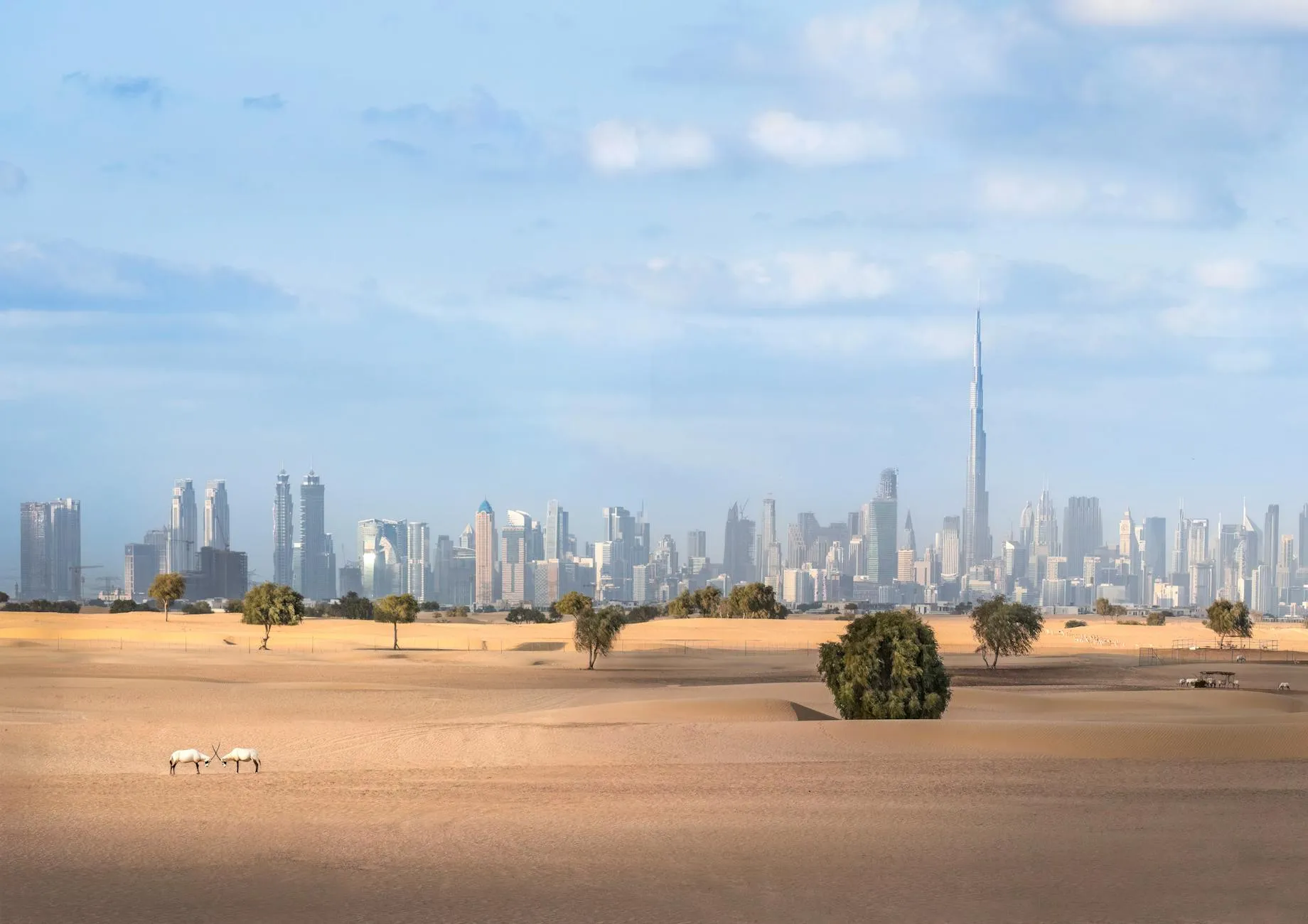 Dubai, UAE landmark in Dubai, UAE