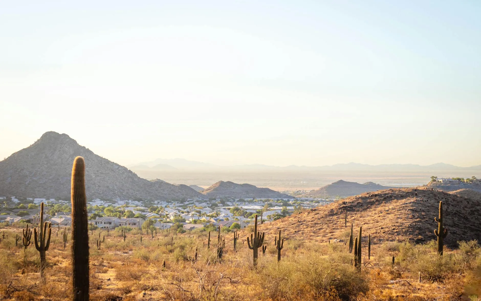 Phoenix landmark in Phoenix
