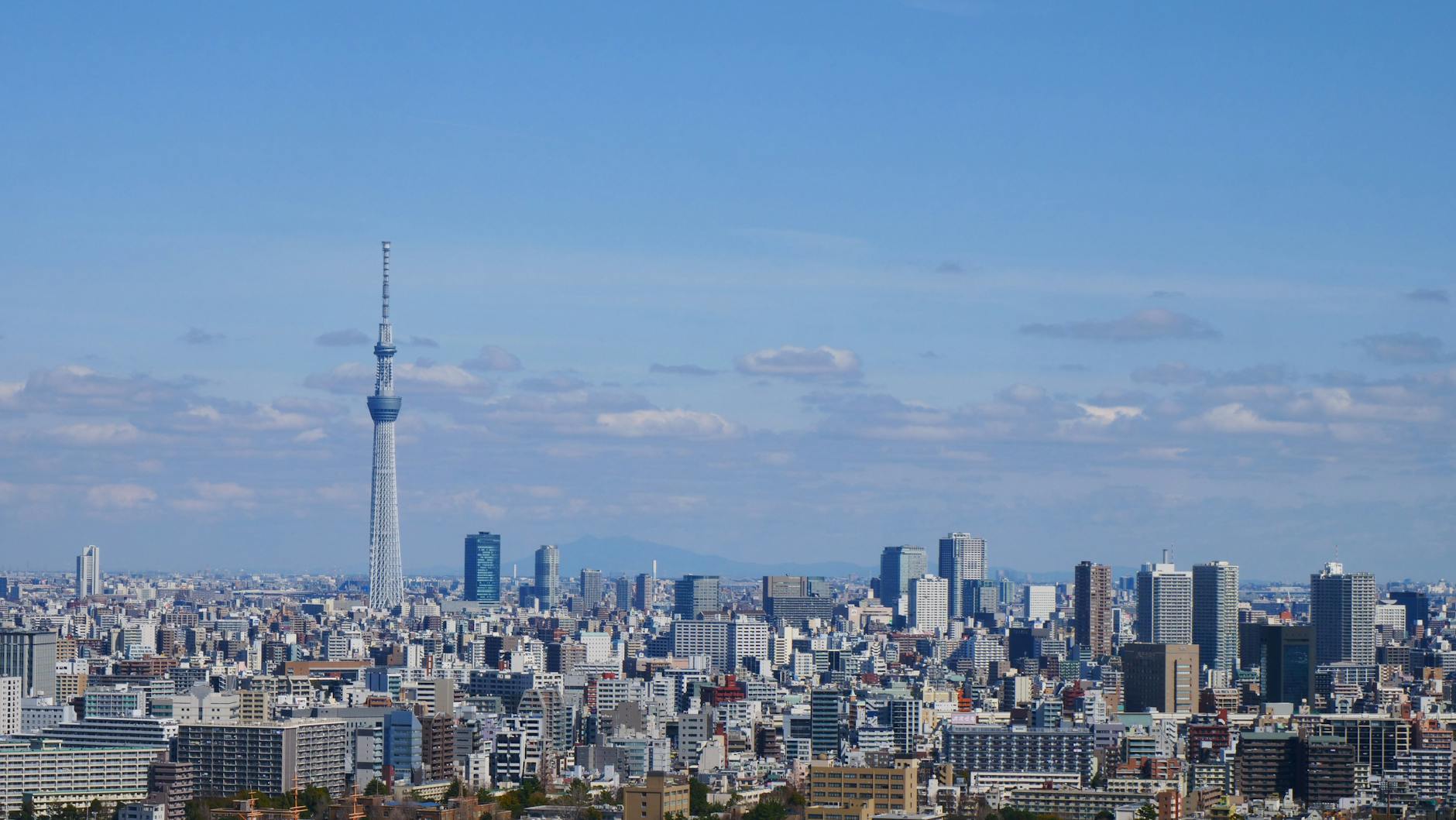 Tokyo landmark in Tokyo