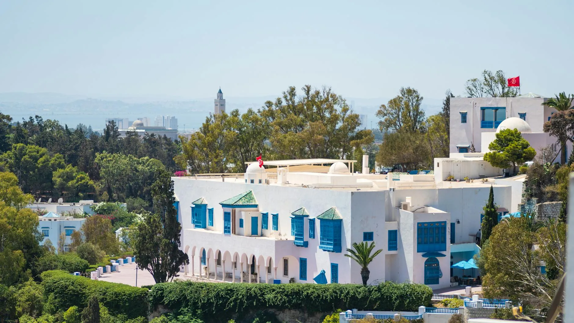 Whitewashed blue-shuttered houses of Sidi Bou Said on the hillside above the Gulf of Tunis, with green-tiled window canopies, palms and a Tunisian flag, the bay and a distant minaret beyond