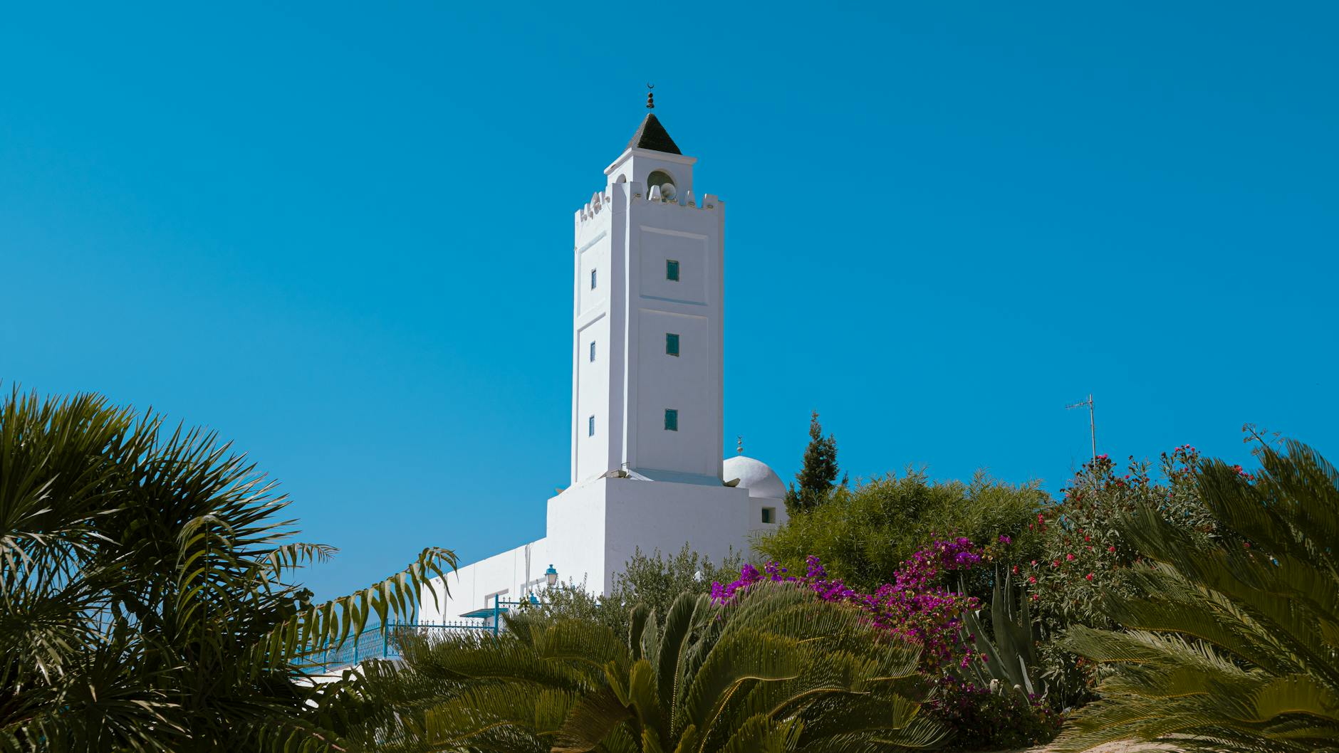 Tunis landmark in Tunis