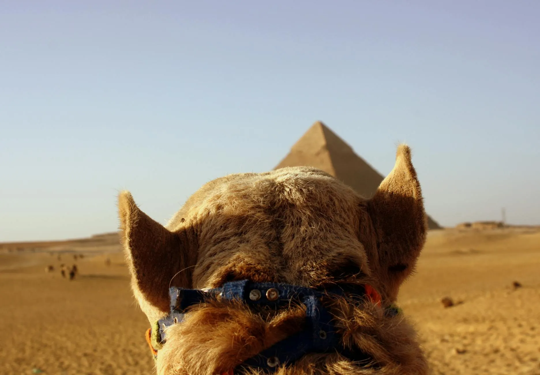 Cairo landmark in Cairo