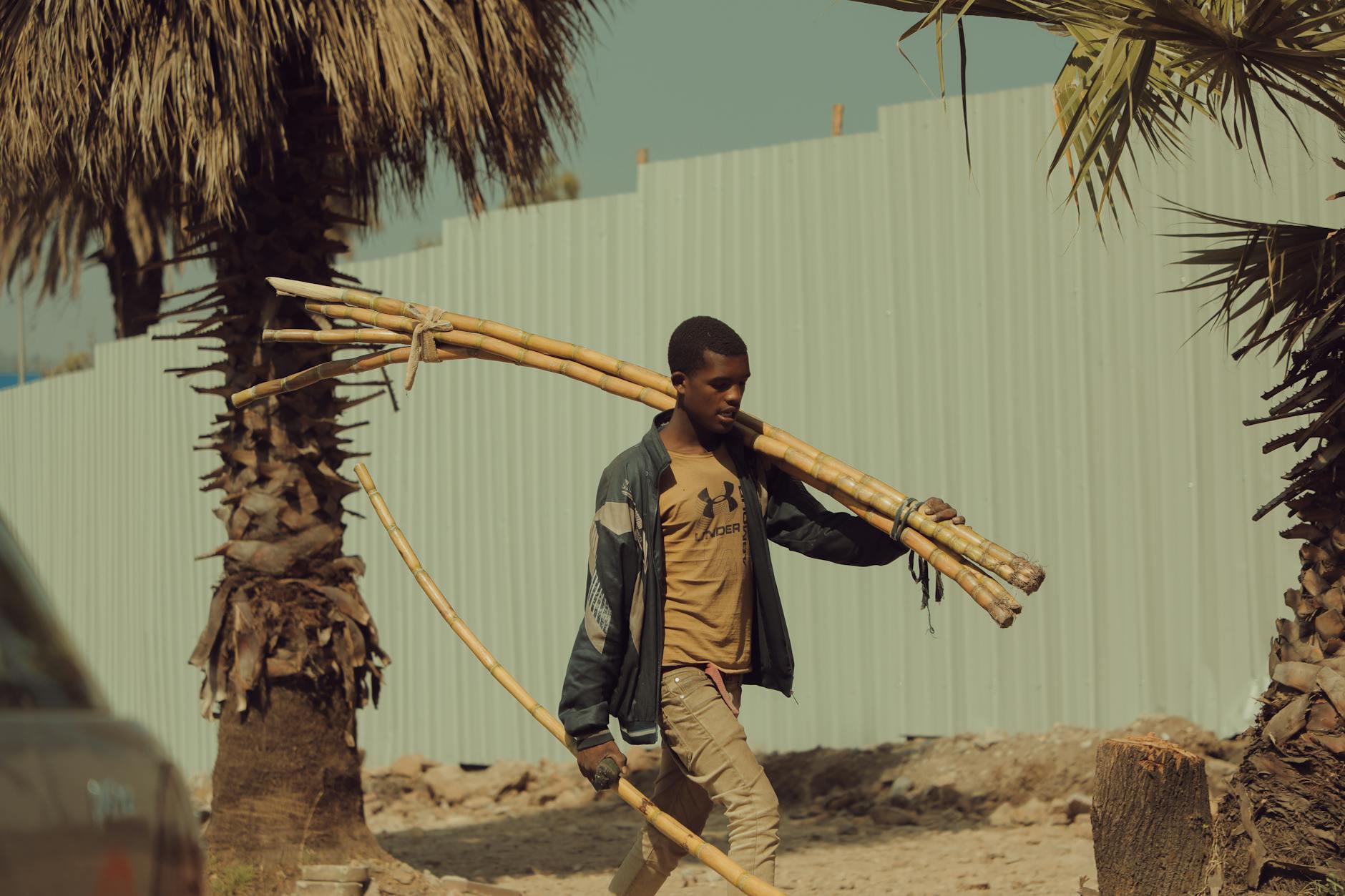 Addis Ababa landmark in Addis Ababa