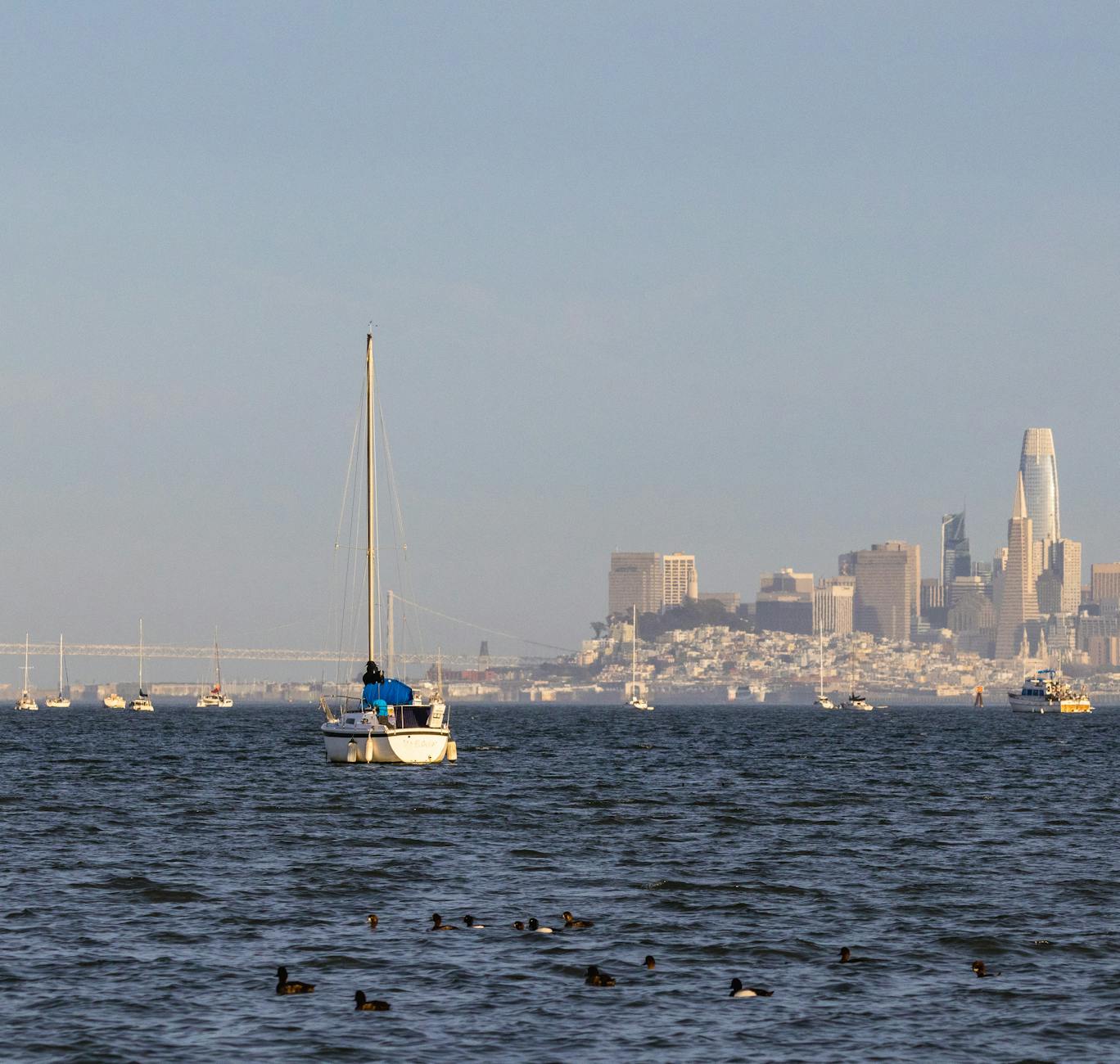 San Francisco landmark in San Francisco