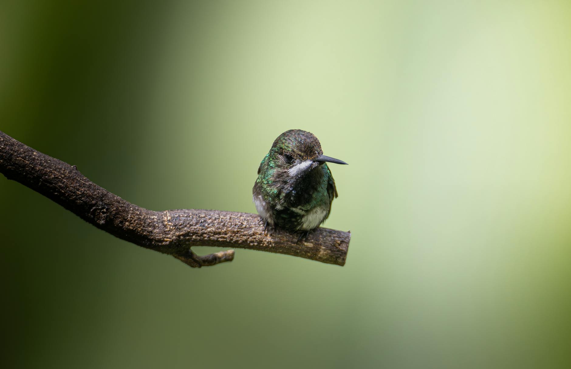 Cali, Colombia landmark in Cali, Colombia