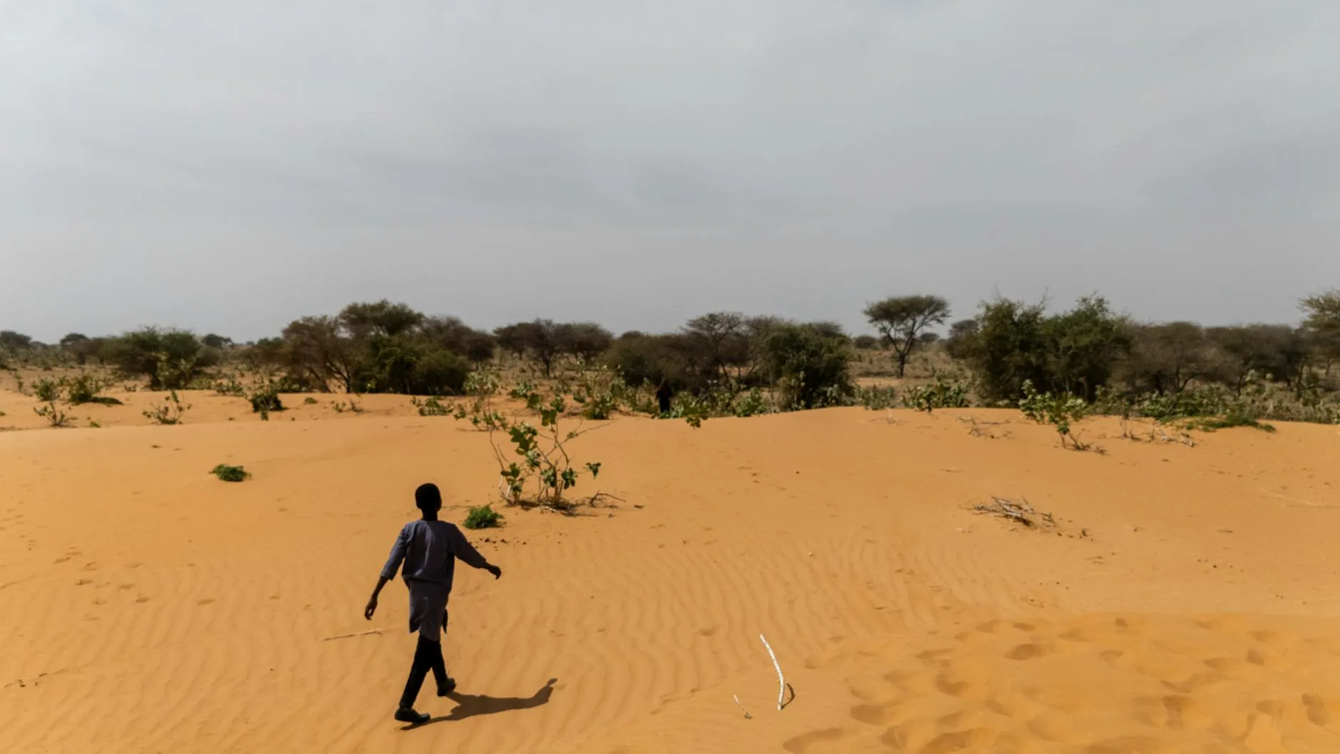 A person walks across sandy dunes in the desert landscape of Yusufari, Nigeria.