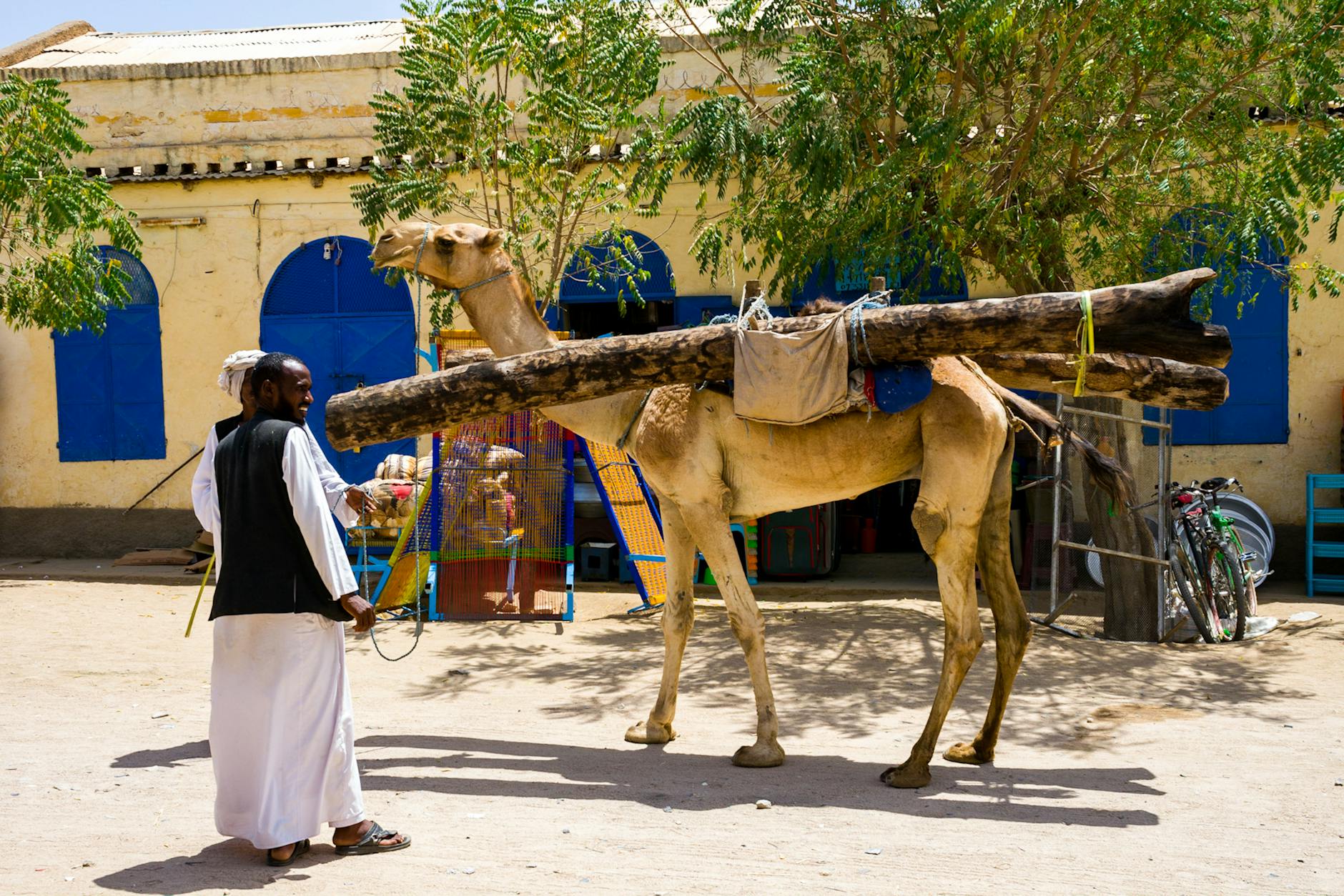 Asmara Eritrea — A man stands beside a camel carrying logs against a backdrop of colorful Eritrean architecture.