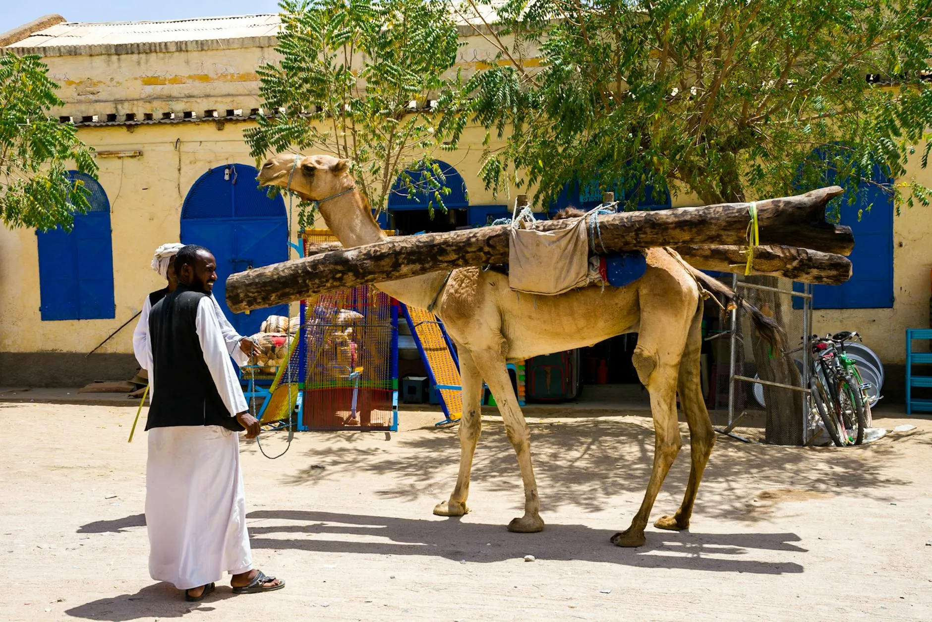 Asmara Eritrea — A man stands beside a camel carrying logs against a backdrop of colorful Eritrean architecture.