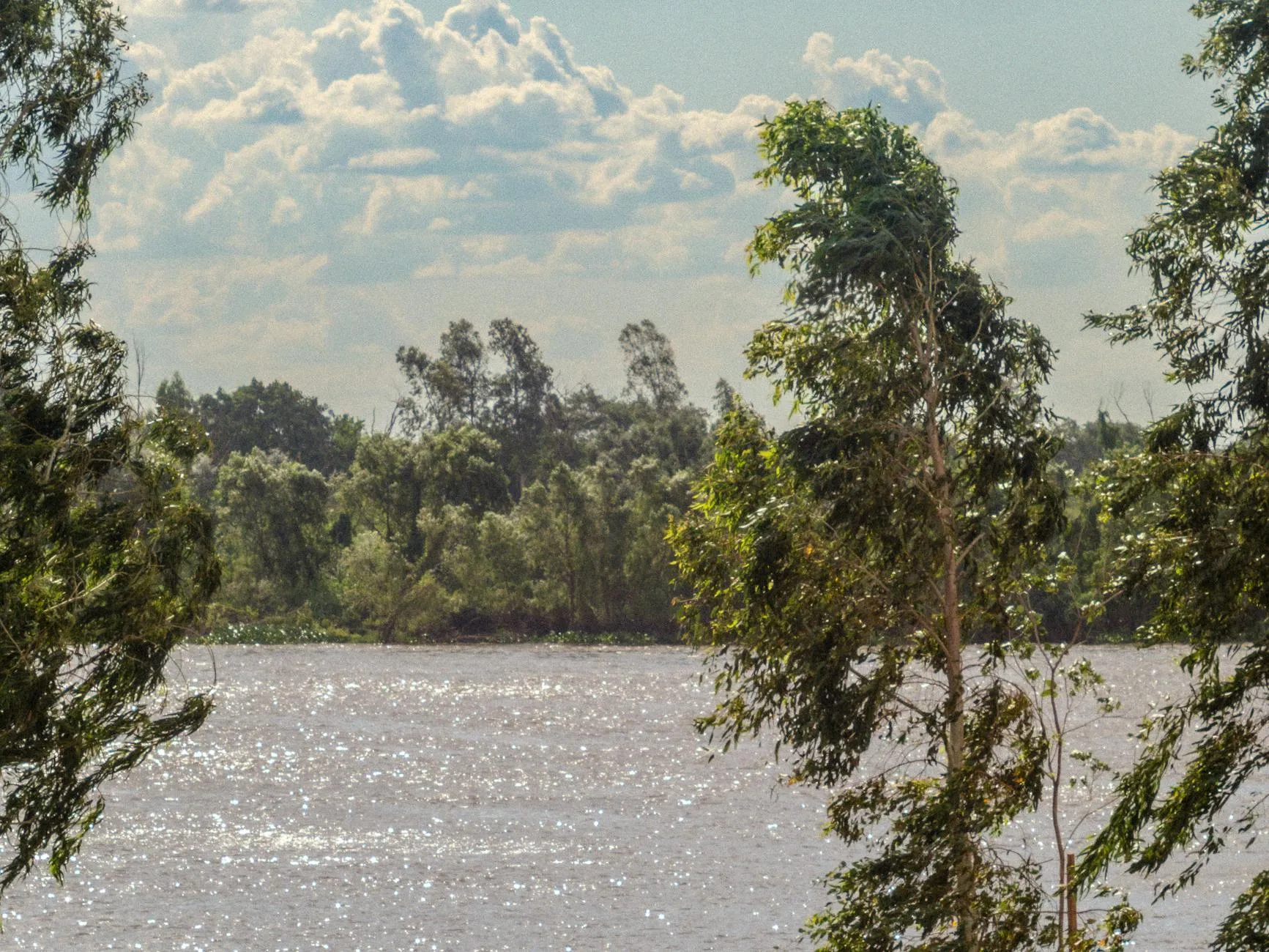 Asunción, Paraguay — Peaceful river scene with lush green trees under a partly cloudy sky in Asunción, Paraguay.
