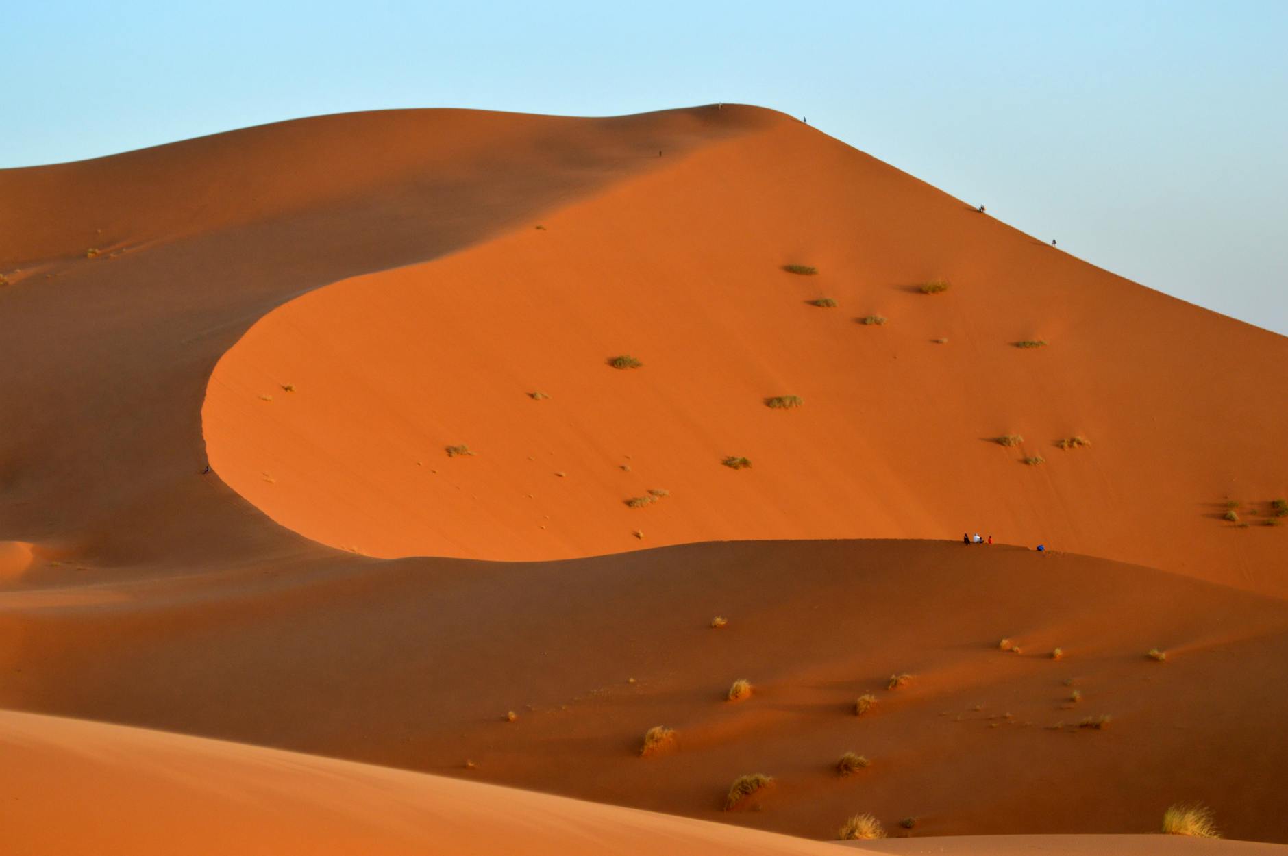 Golden sand dunes in the Sahara Desert at sunset with small figures in the distance.