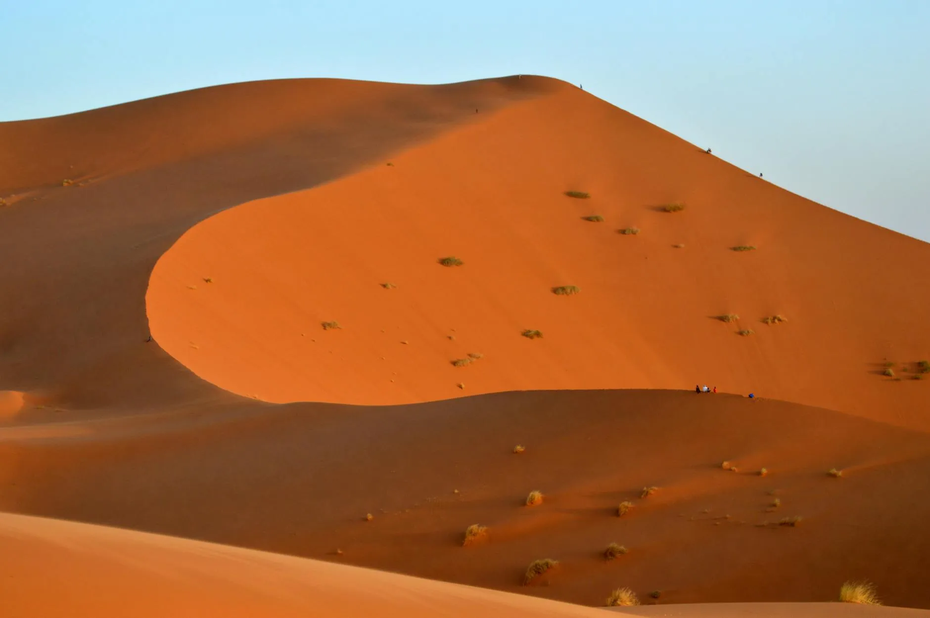 Golden sand dunes in the Sahara Desert at sunset with small figures in the distance.