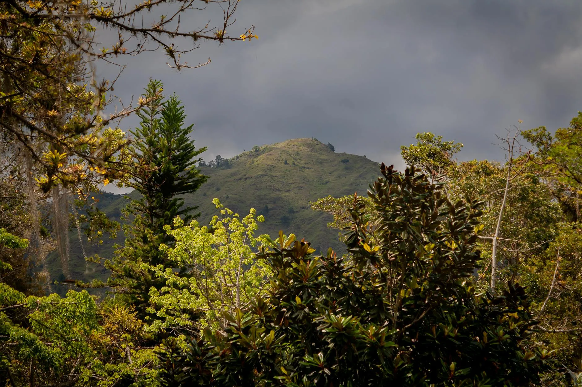 Explore the lush green hills of Mérida, Venezuela under dramatic storm clouds. A vibrant natural landscape.