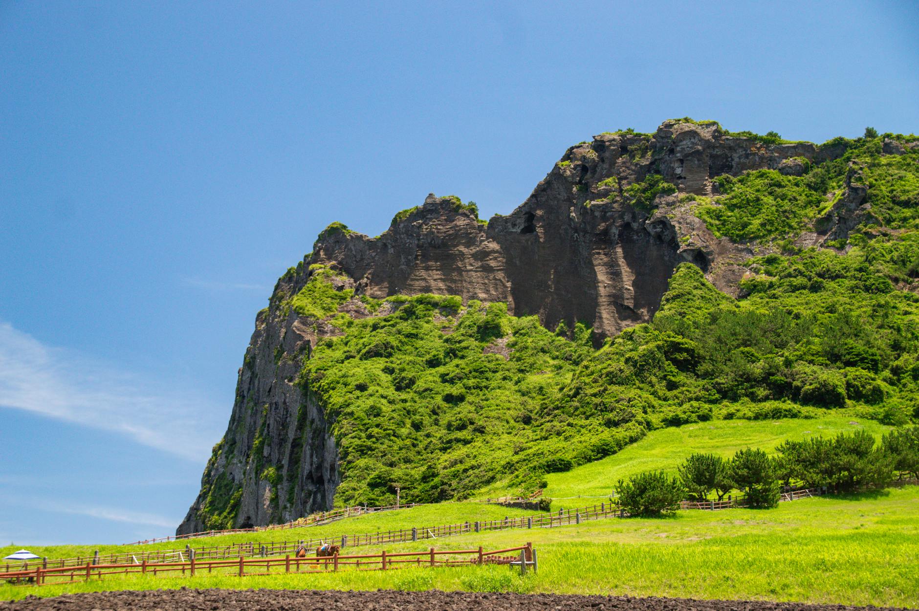 Jeju, South Korea — A stunning view of Seongsan Ilchulbong, a lush volcanic cone on Jeju Island, South Korea.