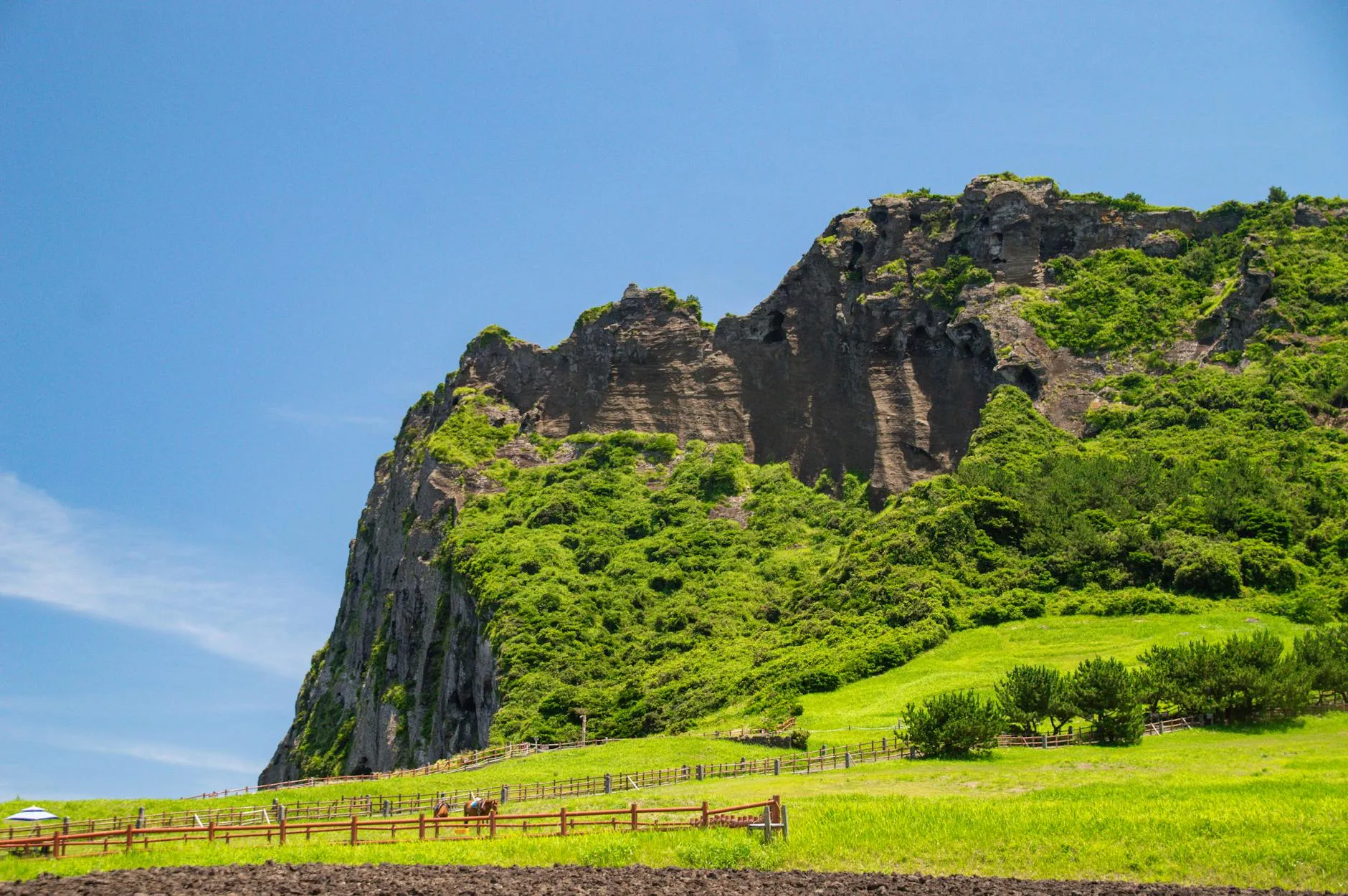 Jeju, South Korea — A stunning view of Seongsan Ilchulbong, a lush volcanic cone on Jeju Island, South Korea.