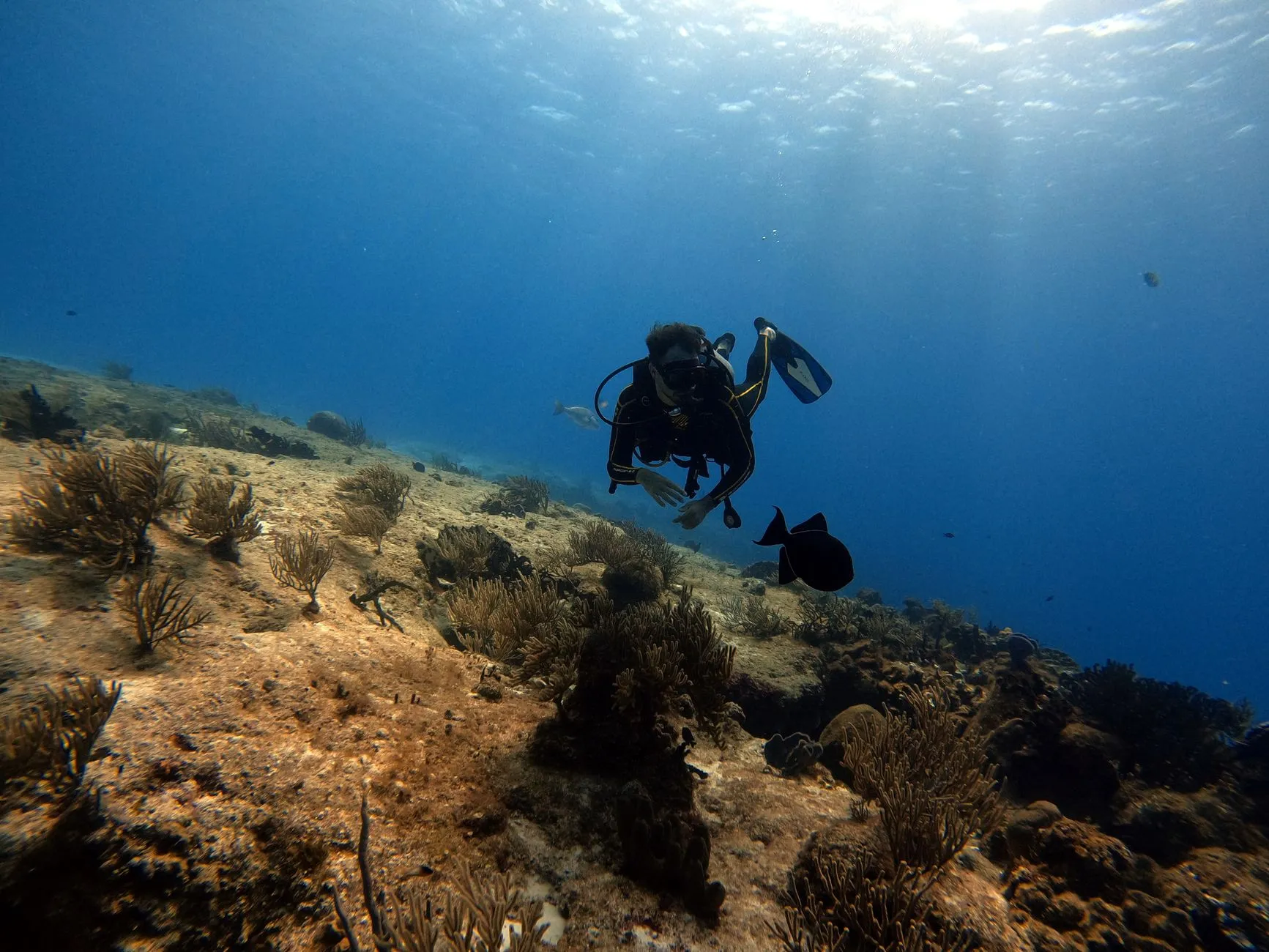 Cozumel, Mexico — Scuba diver exploring the vibrant marine life and coral reefs of Cozumel, Mexico.