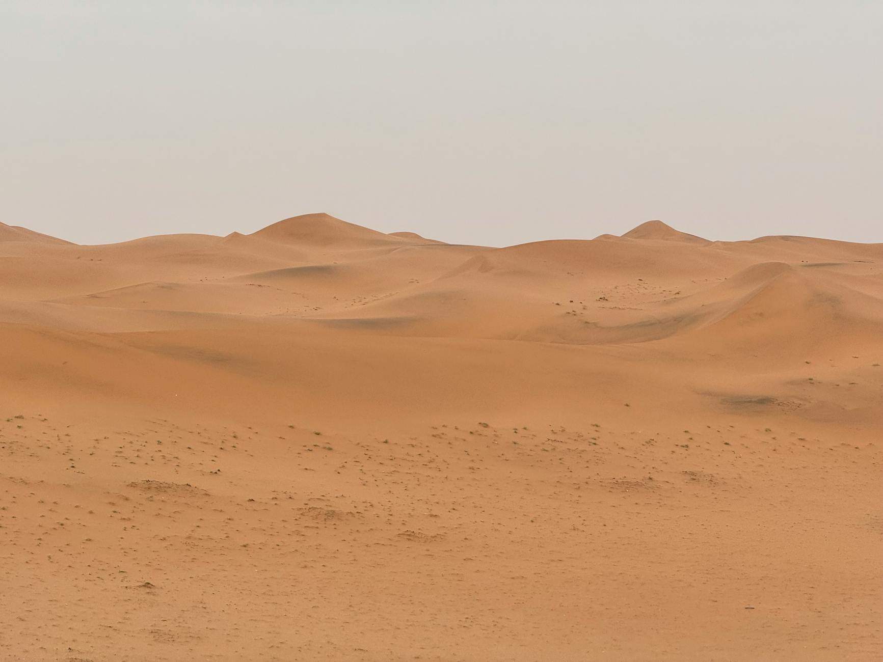 Saudi Arabia