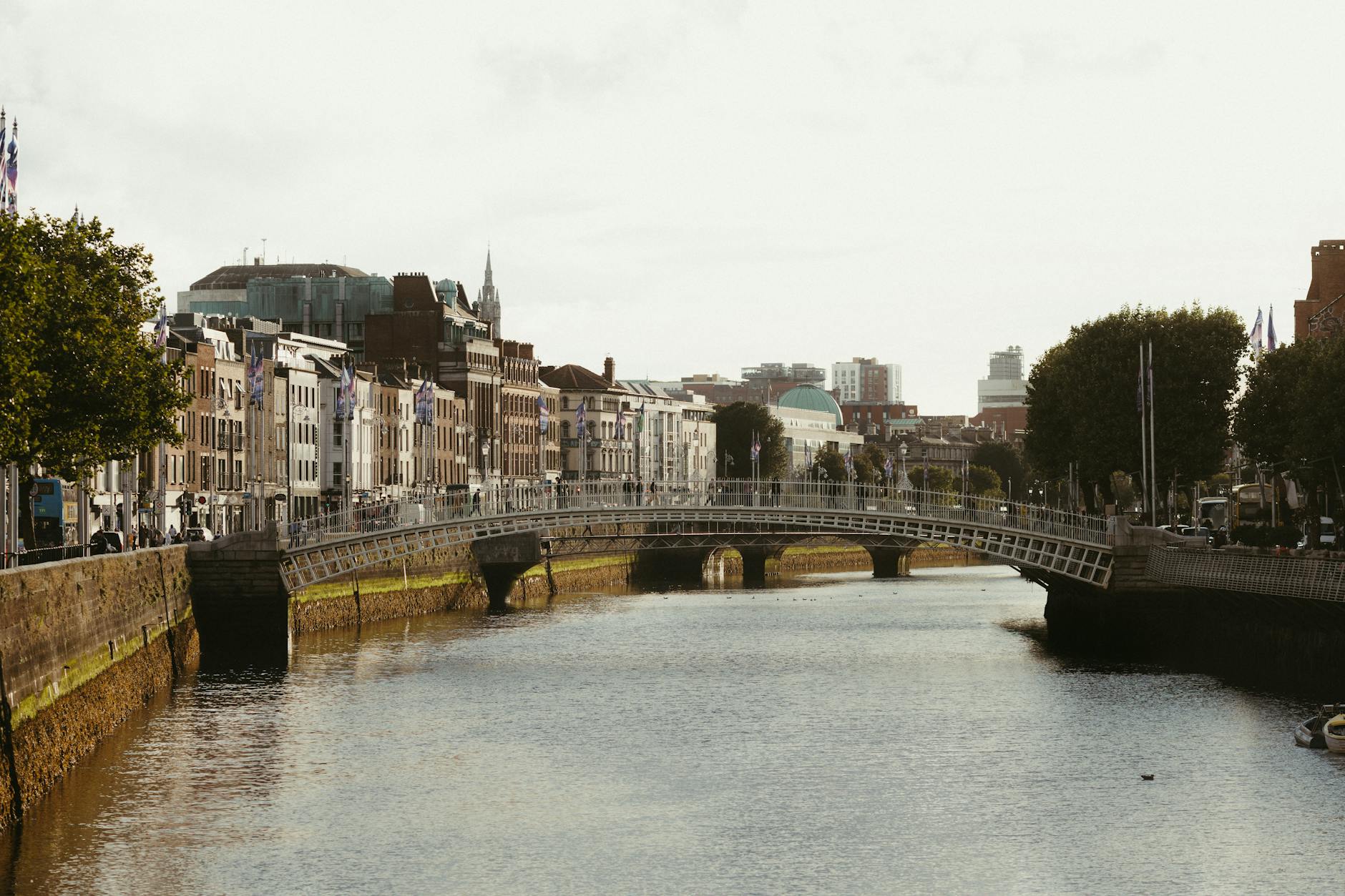 Scenic view of Dublin's Ha'penny Bridge over the River Liffey, showcasing charming city architecture.