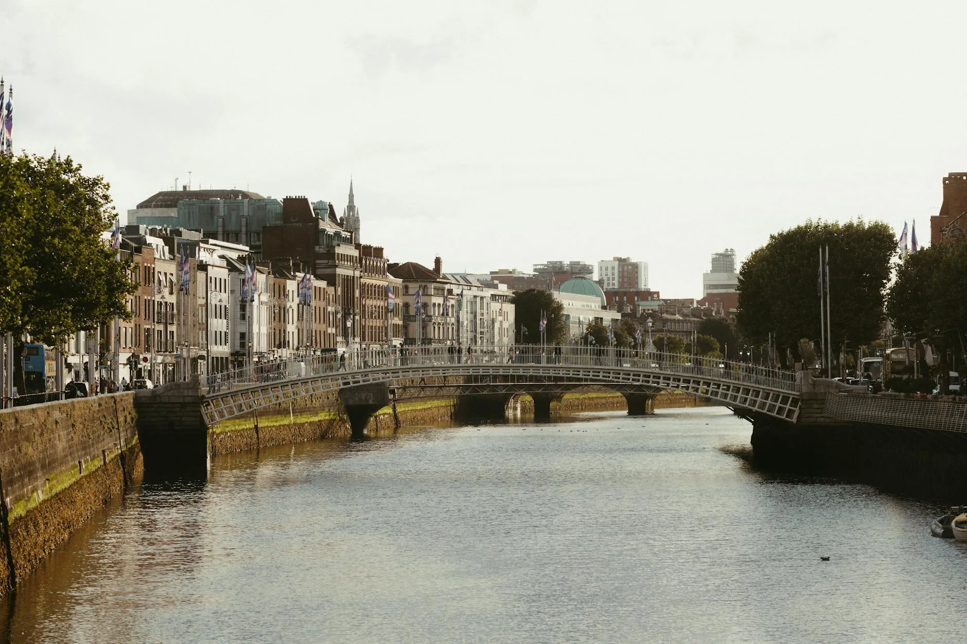 Scenic view of Dublin's Ha'penny Bridge over the River Liffey, showcasing charming city architecture.