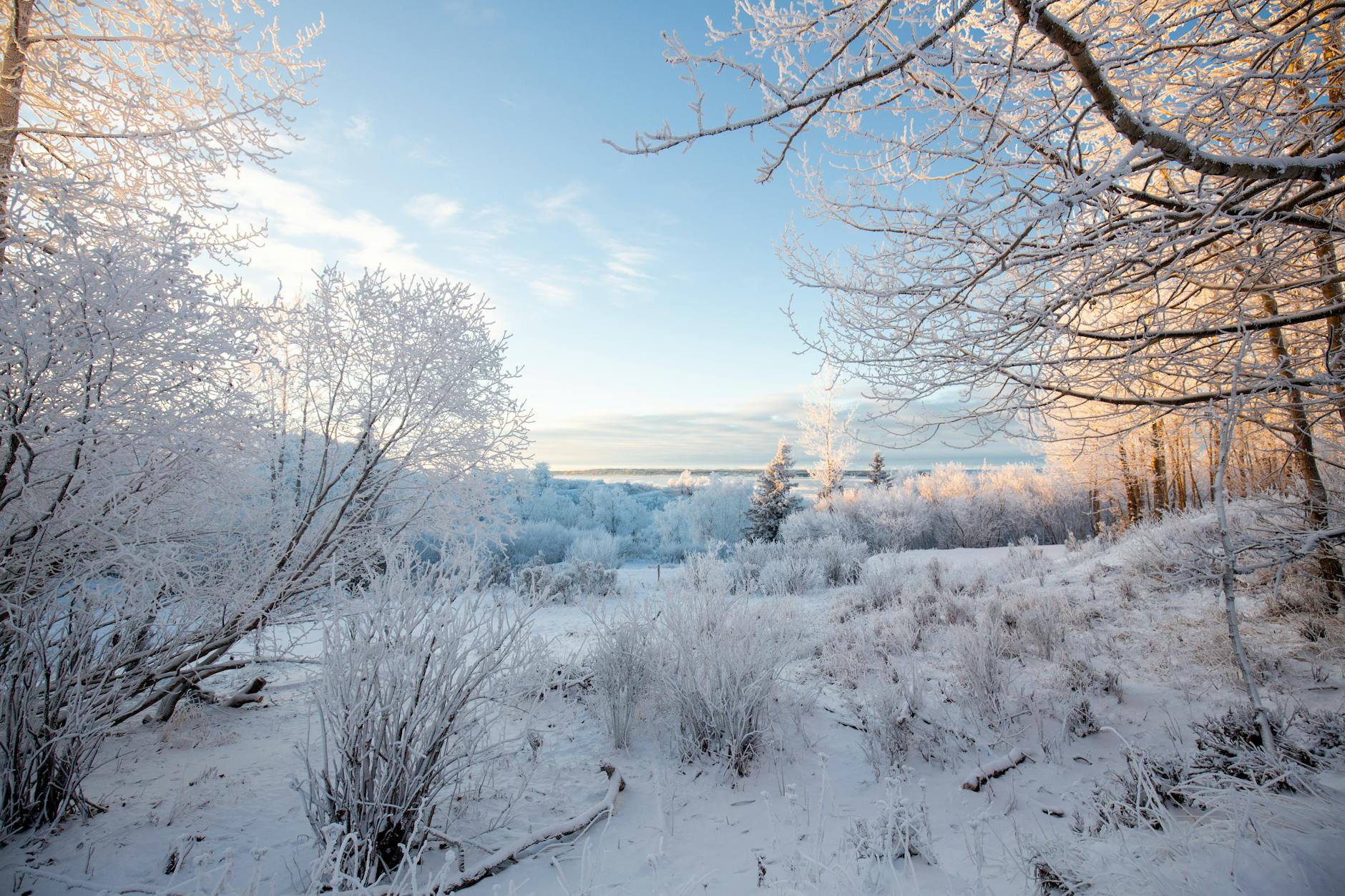 Anchorage landmark in Anchorage