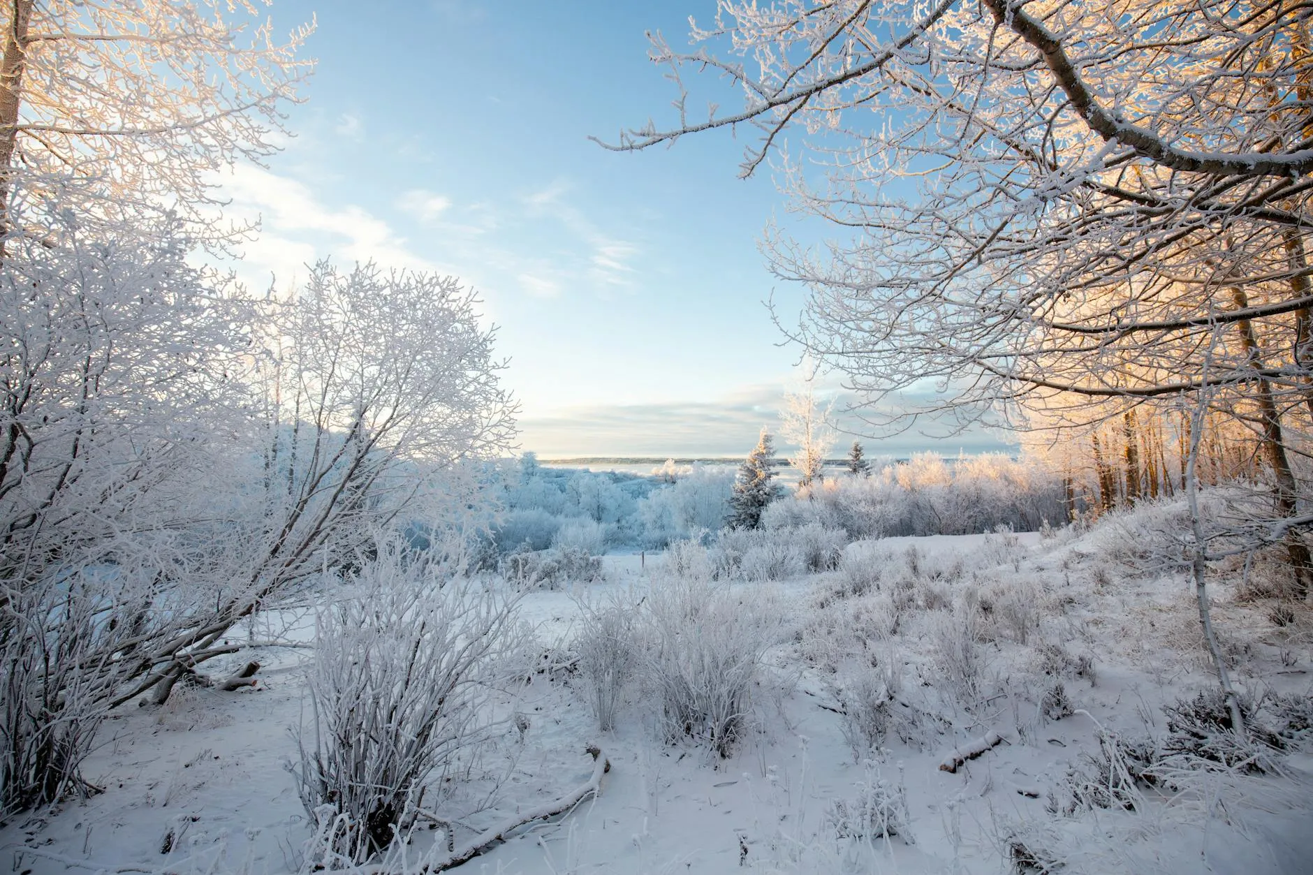 Anchorage landmark in Anchorage