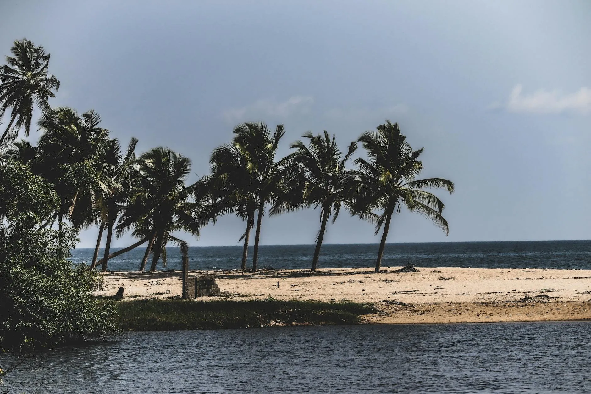 Scenic view of a palm-lined tropical beach in Lagos, Nigeria, under the clear daylight.