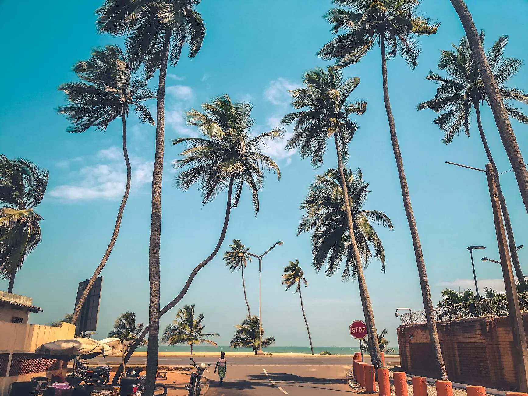 Lomé Togo — A scenic view of coconut palm trees lining a road by the sea in Lome, Togo under a clear blue sky.