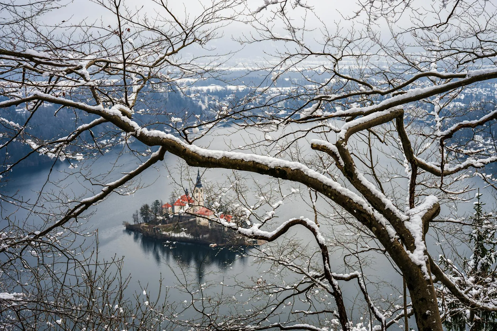 Captivating winter view of snow-covered Bled Island through leafless branches in Slovenia.