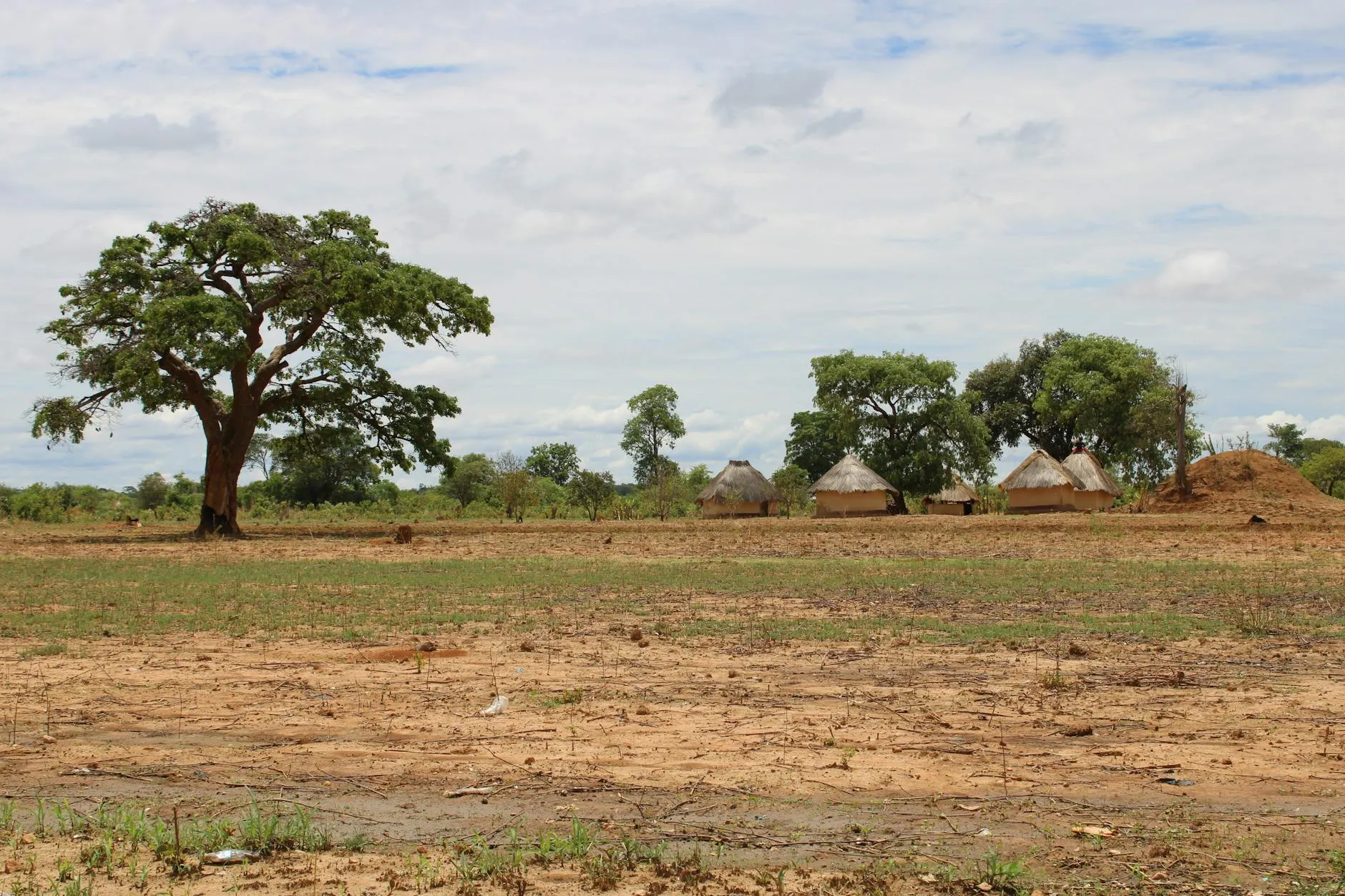 Zambia — South Luangwa / Lower Zambezi / Kafue safari wildlife